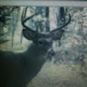 Meet your Posher, Dan